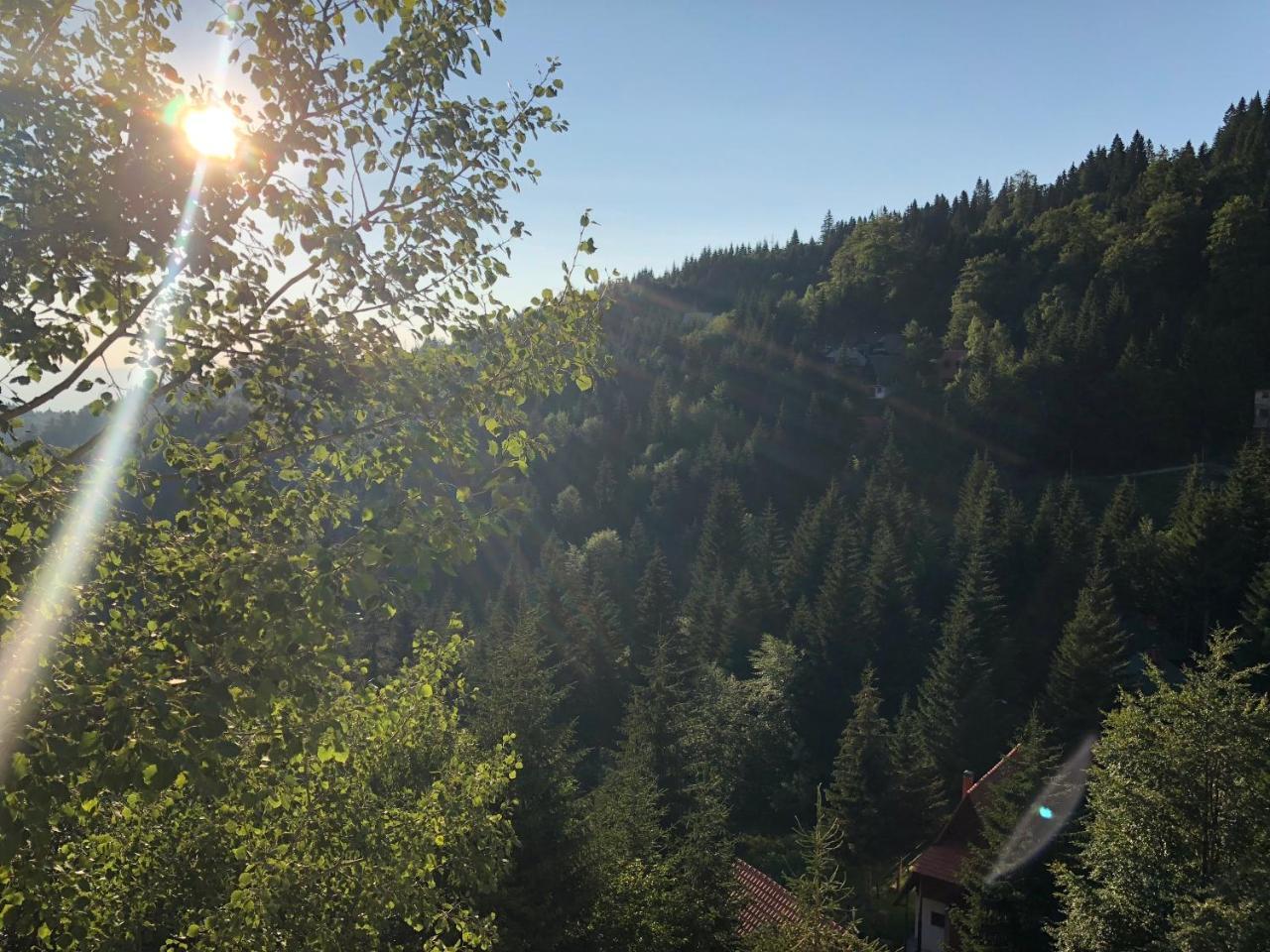 Appartamento Stara Bacija Kopaonik Esterno foto