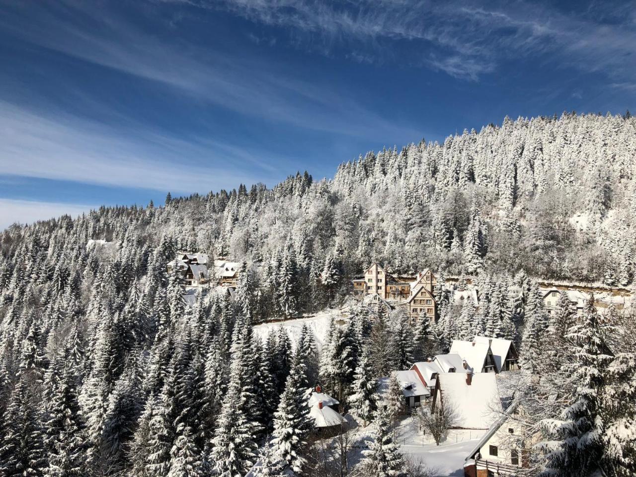 Appartamento Stara Bacija Kopaonik Esterno foto