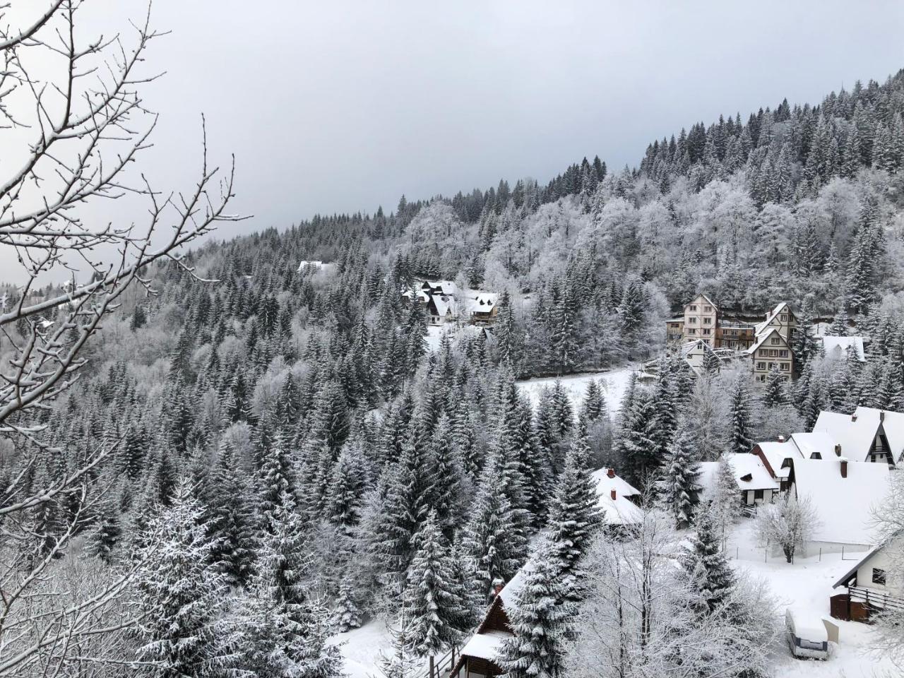 Appartamento Stara Bacija Kopaonik Esterno foto