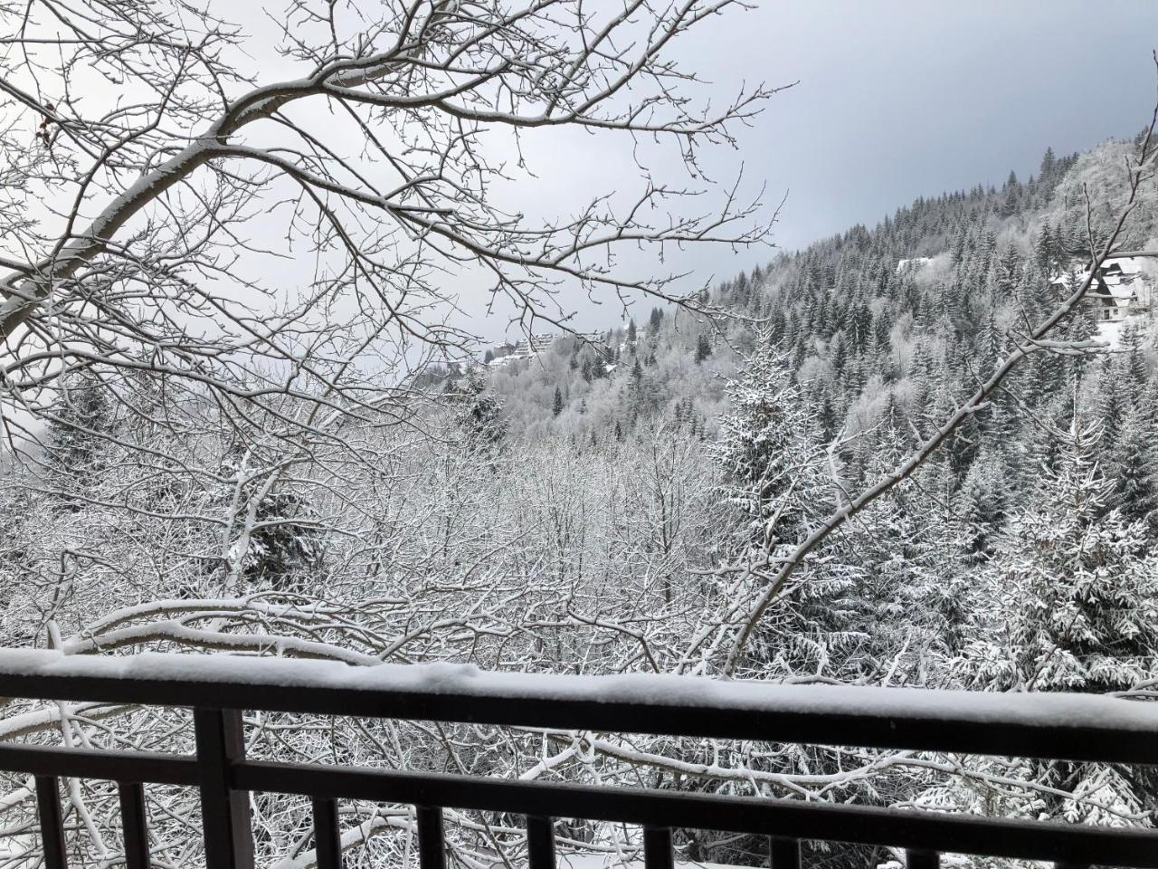 Appartamento Stara Bacija Kopaonik Esterno foto